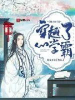《穿越了的学霸》小说封面