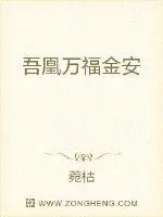《吾凰万福金安》小说封面