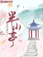 《半山亭》小说封面