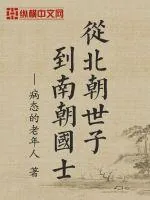 《从北朝世子到南朝国士》小说封面