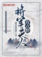 《将军夫人有点野》小说封面