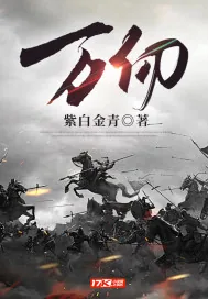 《万仞》小说封面