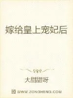 《嫁给皇上宠妃后》小说封面