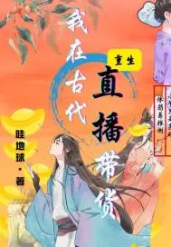 《我在古代直播带货》小说封面