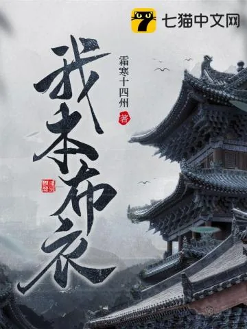 《我本布衣》小说封面