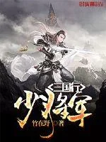 《少将军三国行》小说封面