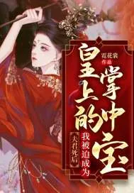 《夫君死后，我被迫成为皇上的掌中宝》小说封面