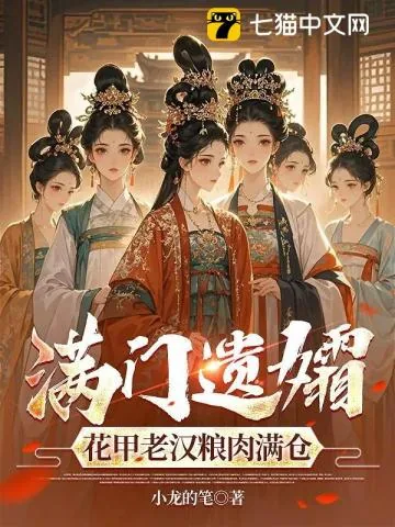 《无双宿将》小说封面