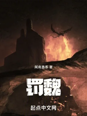 《罚魏》小说封面