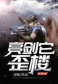 《亮剑它歪楼》小说封面
