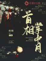《首相掌中月》小说封面