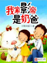 《我家影帝是奶爸》小说封面