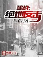 《秘战：绝地反击》小说封面