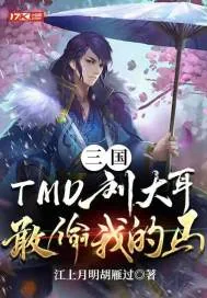 《三国：TMD刘大耳，敢偷我的马！》小说封面