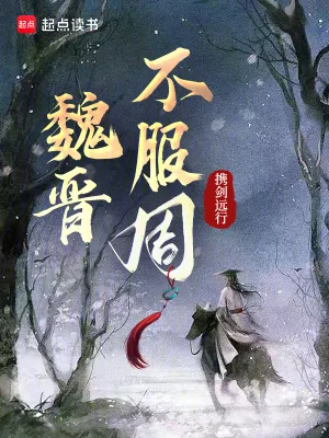 《魏晋不服周》小说封面