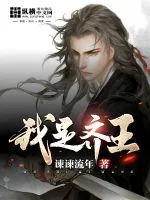 《我是齐王》小说封面