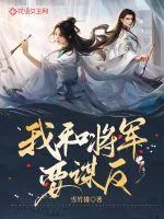 《我和将军要谋反》小说封面