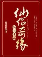《仙侣奇缘：冥石水晶》小说封面