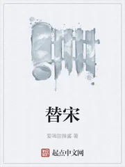 《替宋》小说封面