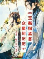 《玉衡指孟冬，众星何历历》小说封面