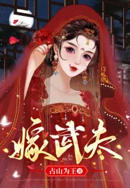 《嫁武夫》小说封面