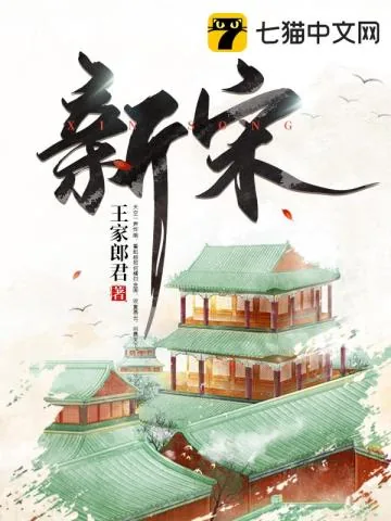 《新宋》小说封面