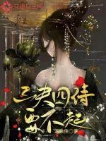 《三夫四侍要不起》小说封面