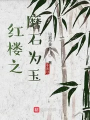 《红楼之磨石为玉》小说封面