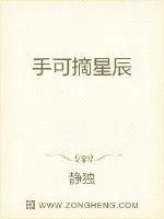 《手可摘星辰》小说封面
