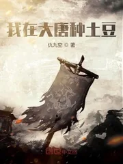 《我在大唐种土豆》小说封面
