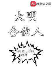 《大明合伙人》小说封面
