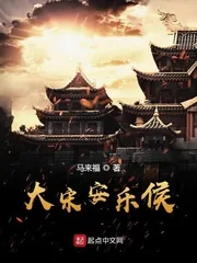 《大宋安乐侯》小说封面