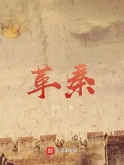 《革秦》小说封面