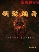 《铜驼烟雨》小说封面