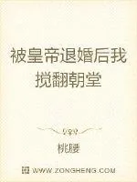 《被皇帝退婚后我搅翻朝堂》小说封面