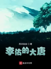《李佑的大唐》小说封面