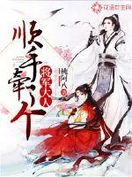 《顺手牵了个将军大人》小说封面