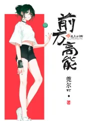 《前方高能》小说封面