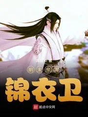 《明末亲军锦衣卫》小说封面
