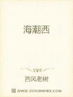 《海潮西》小说封面