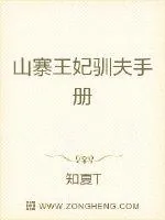 《山寨王妃驯夫手册》小说封面