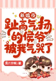 《新婚夜，趾高气扬的侯爷被我气哭了》小说封面