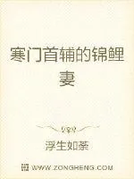 《寒门首辅的锦鲤妻》小说封面