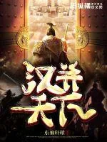 《汉并天下》小说封面