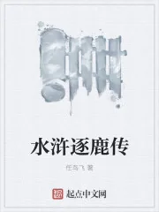 《水浒逐鹿传》小说封面