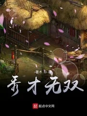 《秀才无双》小说封面