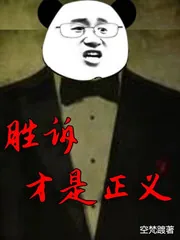 《胜诉才是正义》小说封面