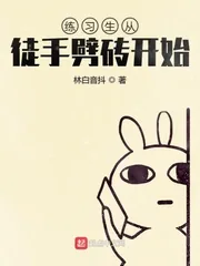 《练习生从徒手劈砖开始》小说封面