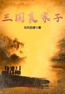 《三国良家子》小说封面