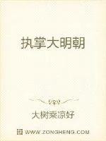 《执掌大明朝》小说封面